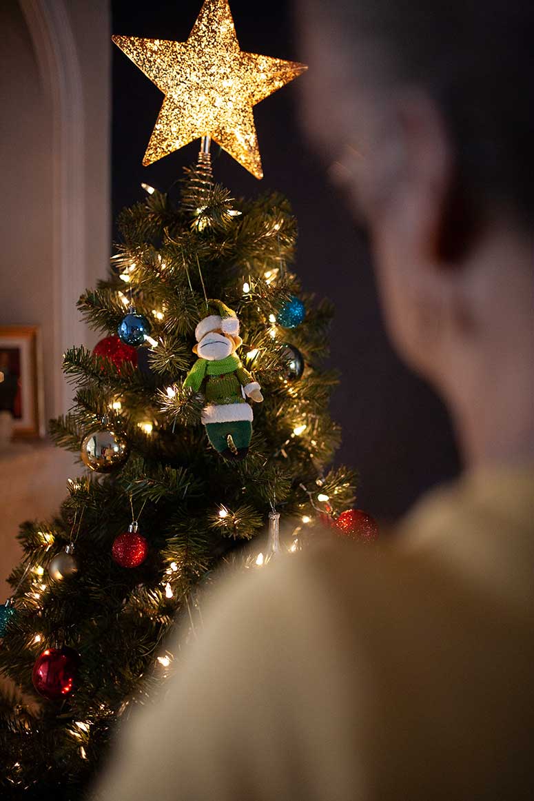 How To Troubleshoot Broken Christmas Lights Balex Electrical Company LLC